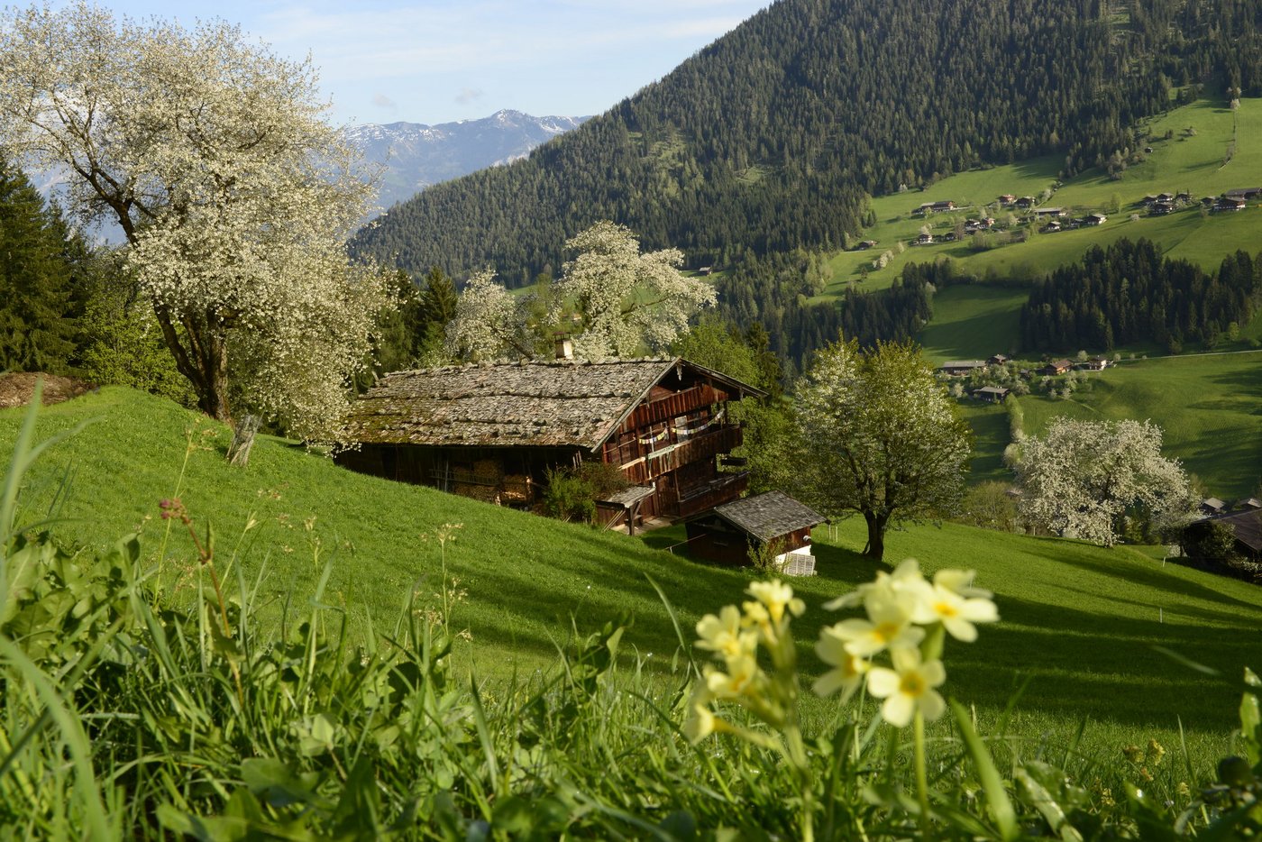 [Translate to Italiano:] breath in the nature